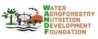 WAND Foundation Logo