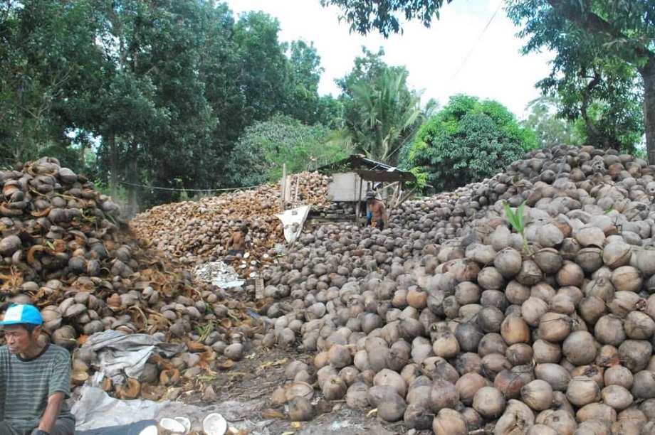 Coconut-Based Livelihood